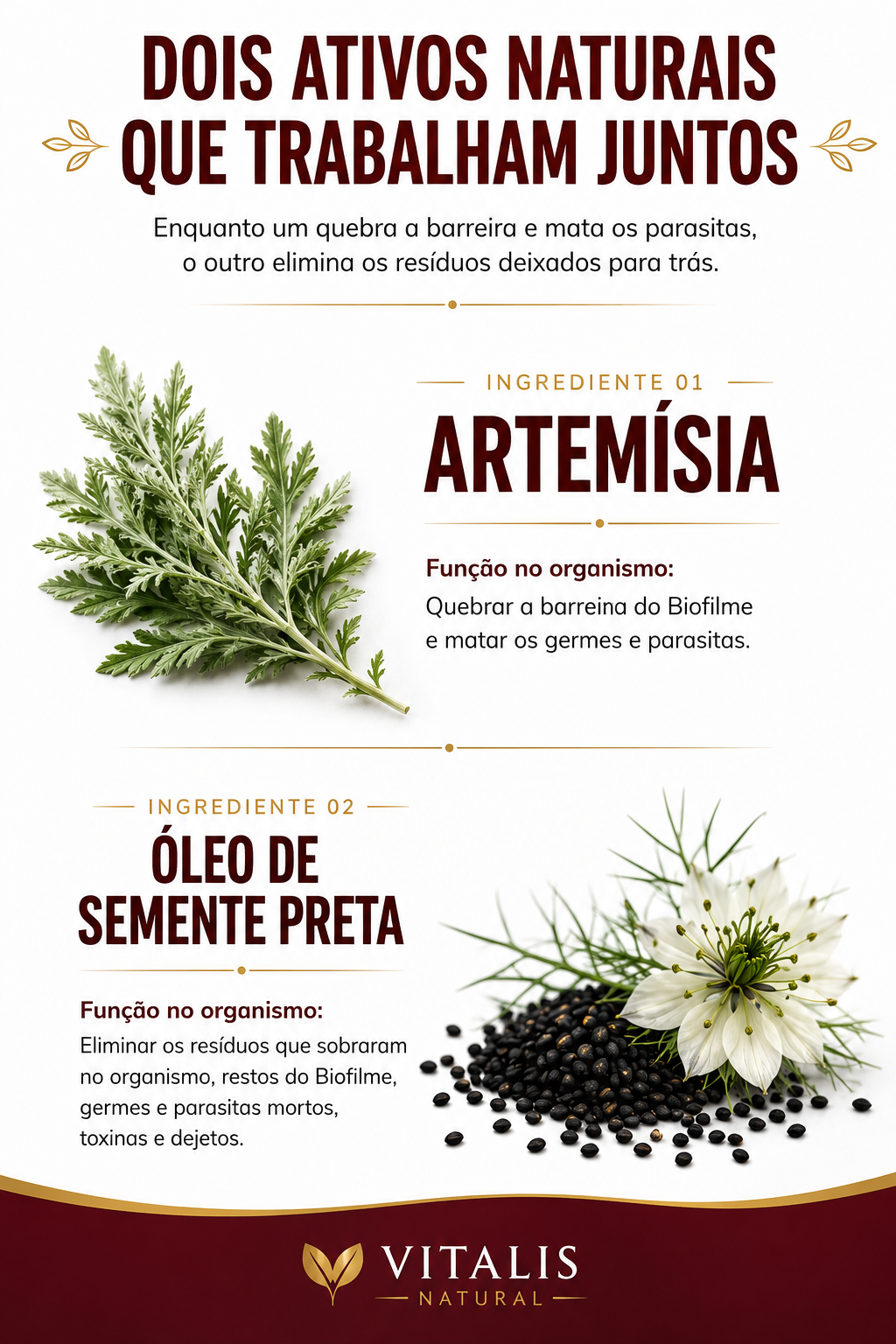 Vitalis - extrato de artemísia e semente negra